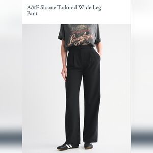 A&F Sloane Tailored Wide Leg Pant - Size 26 Short
